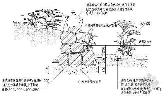 湖岸断面大样二资料下载-湖岸断面大样一