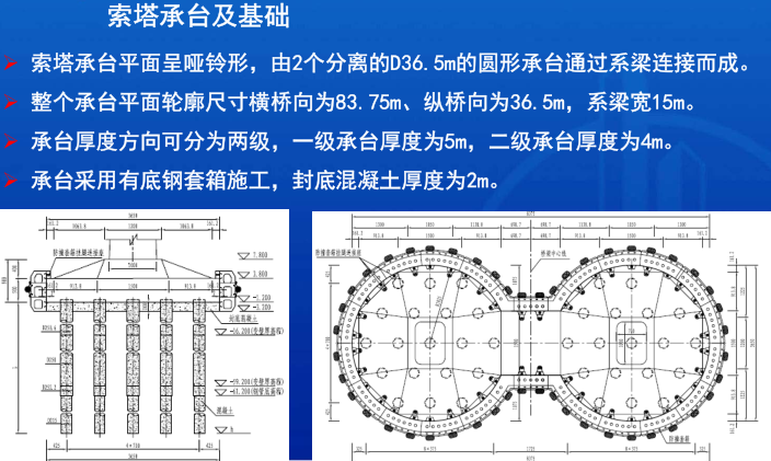 港珠澳大桥主体工程桥梁设计方案及创新（PDF，124页）_5