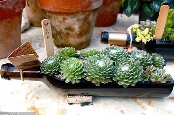 酒瓶SU模型资料下载-酒瓶的蜕变，美到无话可说