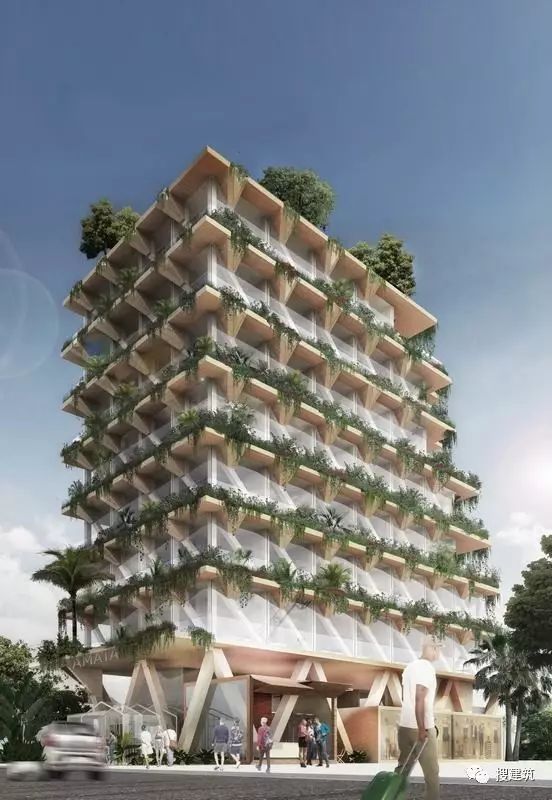 森林木建筑建筑资料下载-一种新型木结构高层建筑