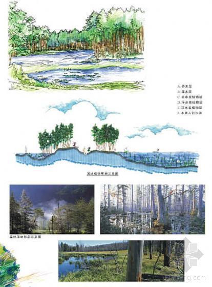 上海国际湿地公园概念规划设计演示-3