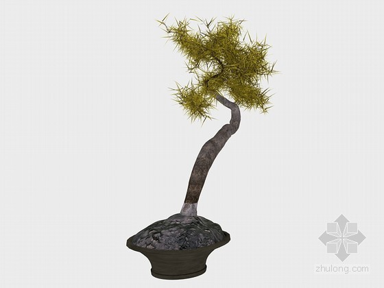 酒店室外景观CAD资料下载-室外景观树3D模型下载