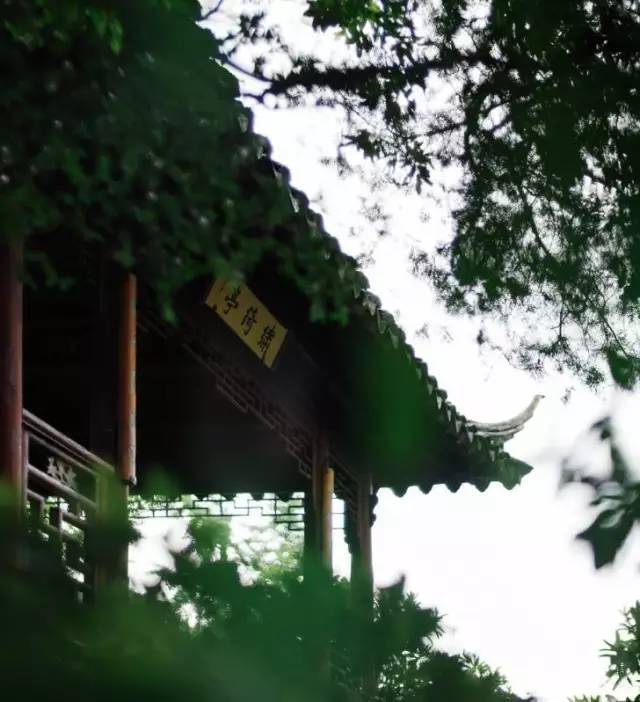 中式园林之美，让人惊叹！_5