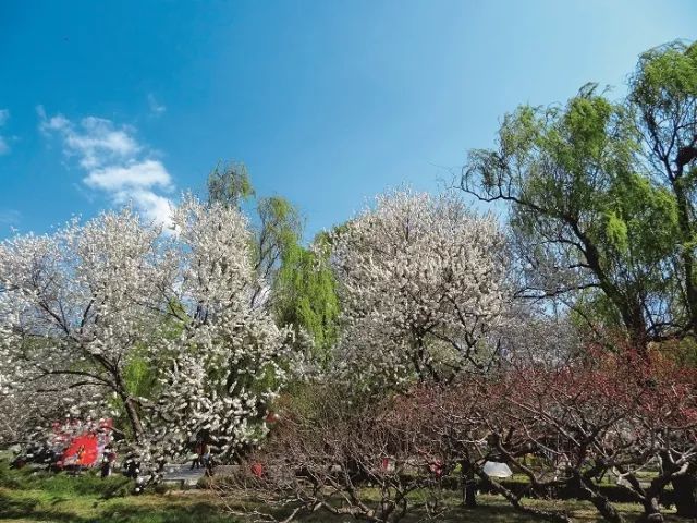 医疗与养老空间中的植物景观设计_9