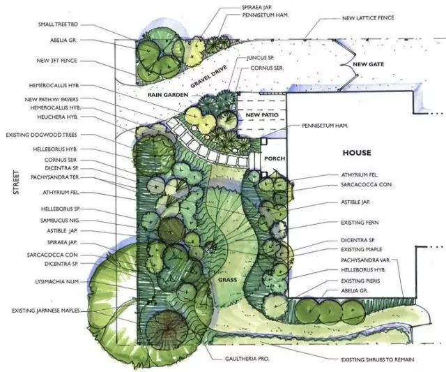 校园景观滨水设计资料下载-风景园林/景观设计如何抄绘平面图？
