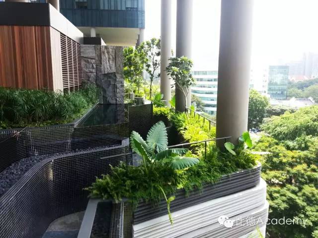 为什么全世界都向新加坡学习垂直绿化_35