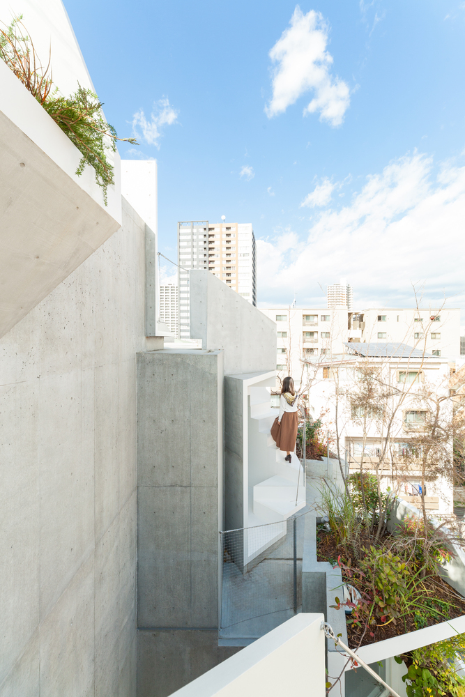 日本丰岛区住宅和画廊综合建筑外部实景图 (5)