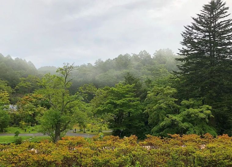 红叶私汤，动辄上万的轻井泽虹夕诺雅真的值得一住么？_3