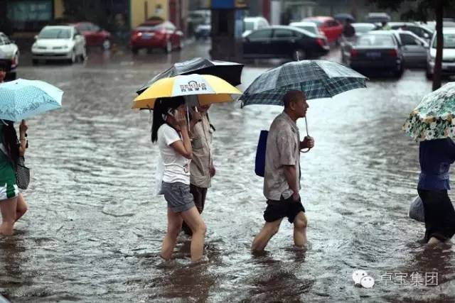 雨水收集系统模块资料下载-用这招，让雨水去到它该去的地方