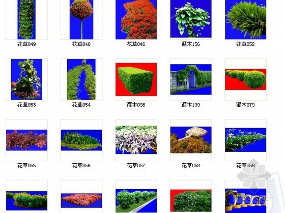 景观花草su下载资料下载-花草
