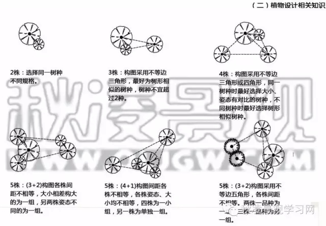 植物景观搭配平面图资料下载-组景植物设计的层次选取与搭配原则