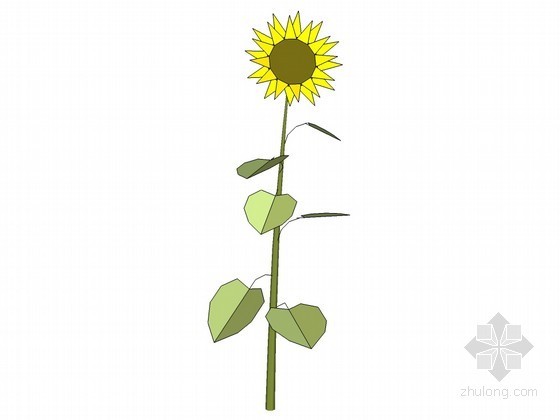 仿向日葵的植物造型资料下载-向日葵