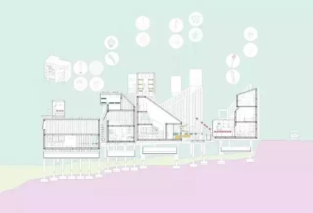 甲方施工流程图资料下载-能拿下甲方的建筑分析图都是这么画出来的？