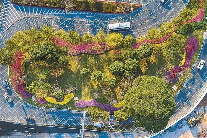 道路绿化带设计 · 实用干货-景观设计-筑龙园林景观论坛