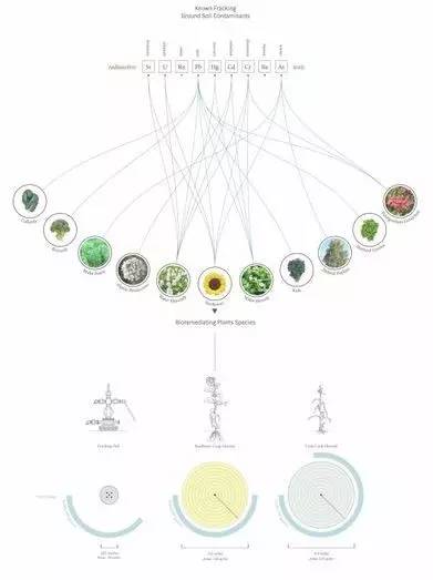 [分享]不一样的景观设计分析图