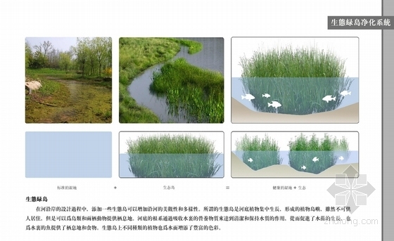 [山东]河道湿地公园景观规划设计（香港著名公司设计）-生态绿岛净化系统