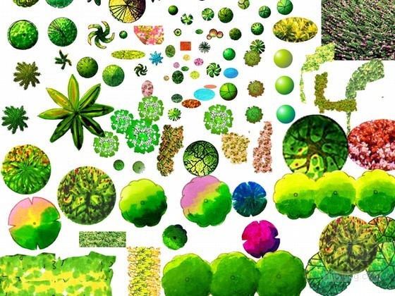 景观植物素材DWG资料下载-植物平面素材