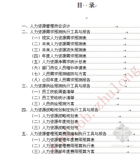 工程安全管理工作年度计划资料下载-人力资源管理工作细化执行与模板