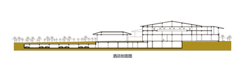 [辽宁]新中式国际宾馆项目建筑文本（含酒店、会议等功能建筑）-新中式国际宾馆项目建筑剖面图