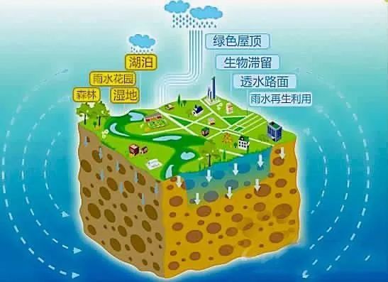 地面雨水排放收集系统资料下载-一本正经说海绵城市，有图有真相！