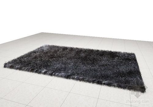 以色列主流黑色公寓资料下载-黑色地毯