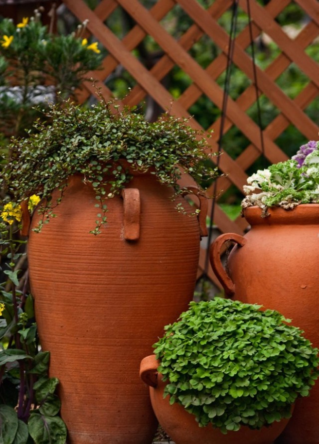 [分享]这样的花钵给我来一打