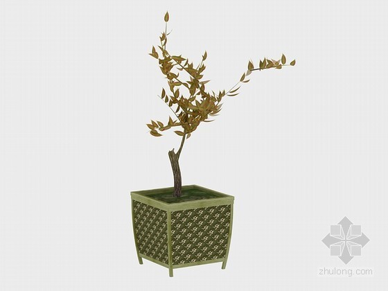 盆栽植物素材资料下载-精美盆栽3D模型下载