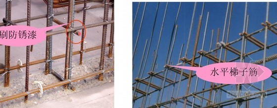 [辽宁]住宅楼工程投标施工组织设计（技术标、总平面图）-刷防锈漆 