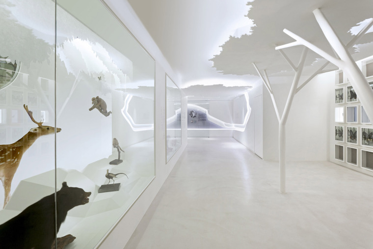 国立博物馆永久展区-006-for-Regi‘Discovering-Taiwan’-Permanent-exhibition-at-National-Taiwan-Museum-by-Studio-TING