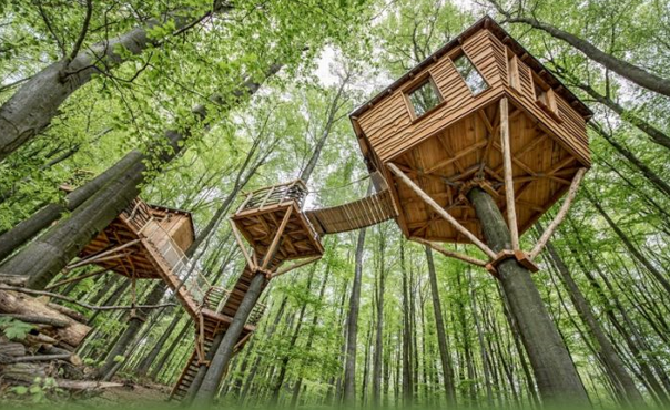 森林与建筑资料下载-林栖谷森林猴国亲子乐园酒店建筑设计