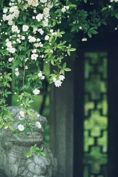 中式园林之美，让人惊叹！_76