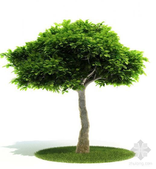 3dsu树木模型下载资料下载-树木8