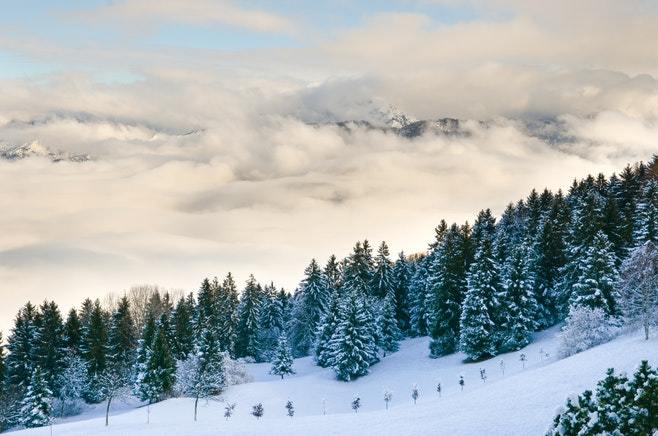 高校基建 | 工程造价五阶段控制，你都做好了吗？-a large cloud behind a tree-lined mountain covered in snow