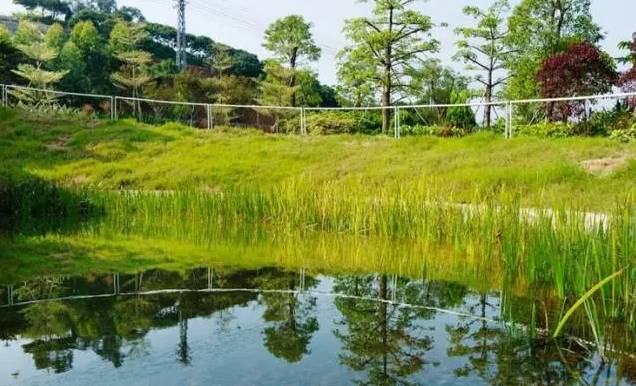 浅谈雨水花园与普通花园差距！_27