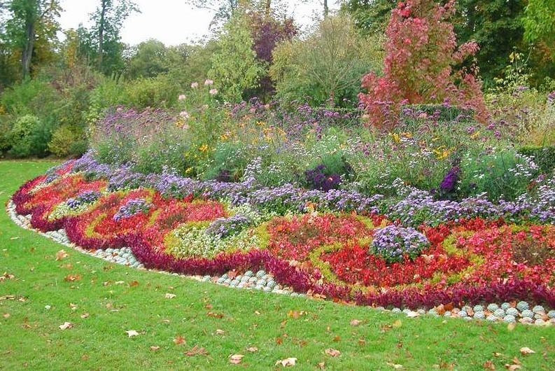 [分享]花境该怎么设计才能令人赏心悦目