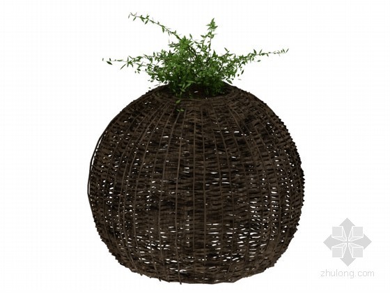 景观植物su3D模型资料下载-室外植物3D模型下载