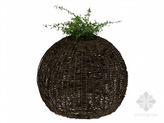 城市室外背景贴图资料下载-室外植物3D模型下载