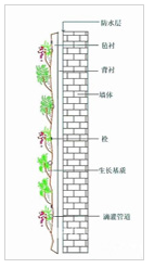 垂直绿化，我只佩服这样的设计！_21