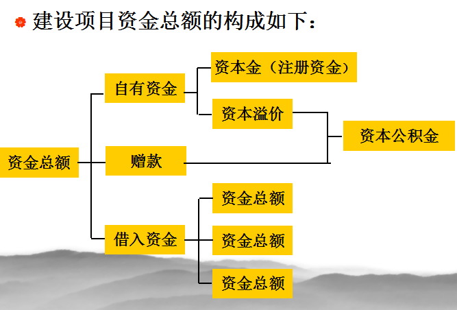 工程项目资金筹措与资本成本_4