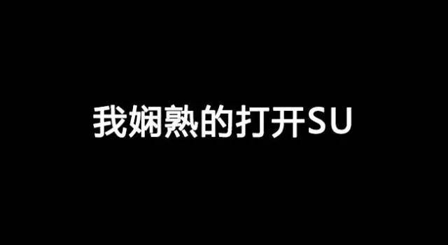 SU模型截的图，那个不叫效果图！_12