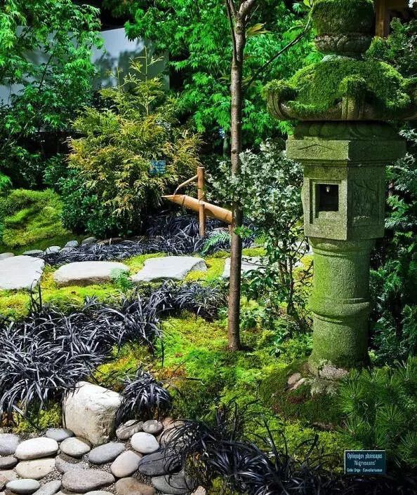 日本的单纯、凝练、清净——日本庭院_11