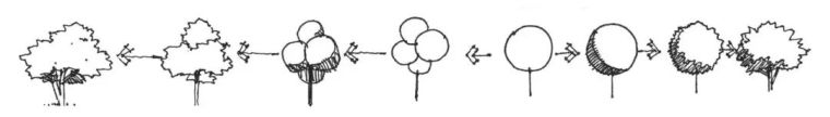 作为景观设计师必须掌握的景观线稿表现_7