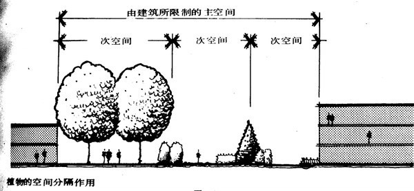 你以为我设计的是植物？我设计的是空间！_53