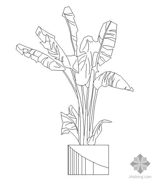 室外植物图块资料下载-盆栽植物图块8