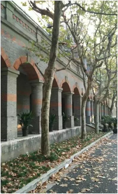 2018,上海的百年老建筑_19