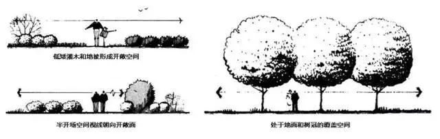 景观植物空间造景｜解析_8