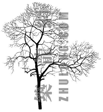 锤击数和标贯击数资料下载-枯 数  17