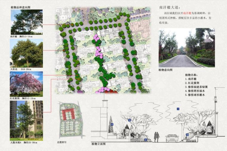 [广东]银胡山庄居住区设计景观方案竞赛文本（包含PDF+95页）-植物图一