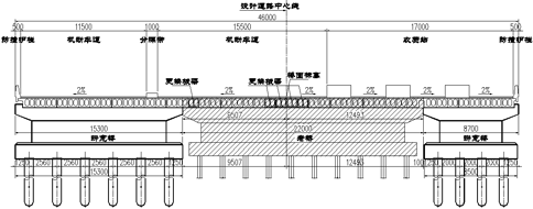 老崧塘桥拓宽工程的施工组织设计方案-拓宽后桥梁断面图