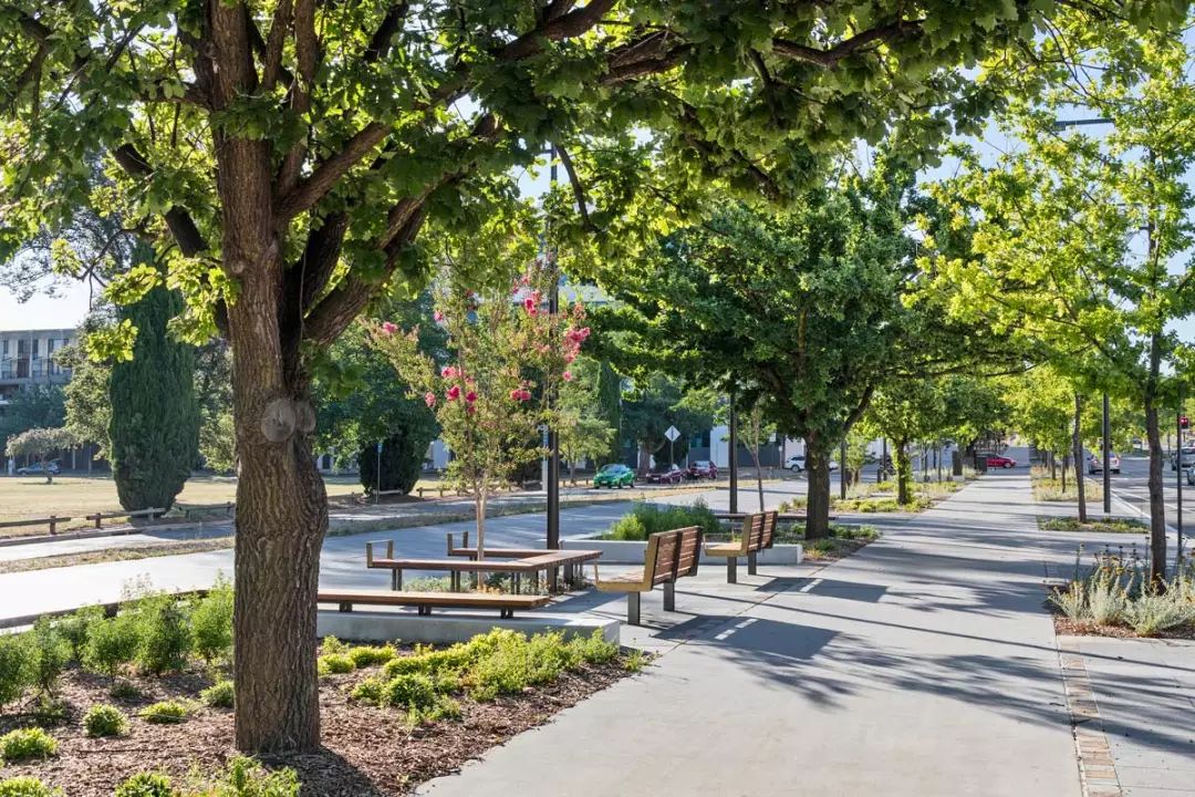 [分享]道路景观设计怎么破?看这里就够了!